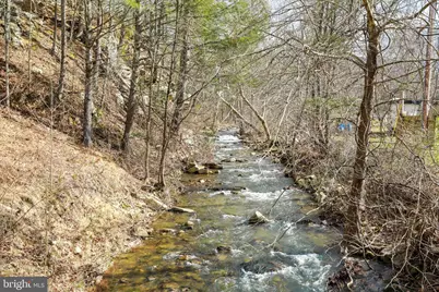 3699 Waites Run Road, Wardensville, WV 26851 - Photo 43