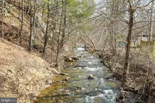 3699 Waites Run Rd, Wardensville, WV 26851 - Photo 43