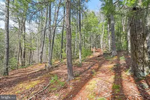 3699 Waites Run Rd, Wardensville, WV 26851 - Photo 21
