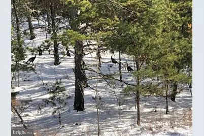 356 Ashton Woods, Moorefield, WV 26836 - Photo 55