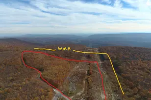 356 Ashton Woods, Moorefield, WV 26836 - Photo 13