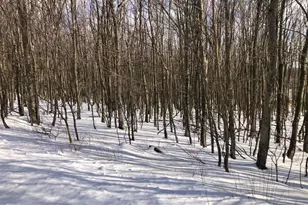 356 Ashton Woods, Moorefield, WV 26836 - Photo 37