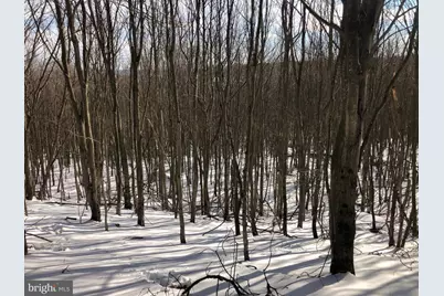 356 Ashton Woods, Moorefield, WV 26836 - Photo 43