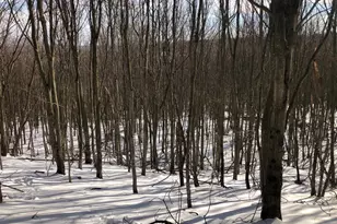 356 Ashton Woods, Moorefield, WV 26836 - Photo 43