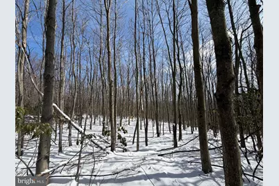 356 Ashton Woods, Moorefield, WV 26836 - Photo 33