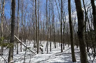 356 Ashton Woods, Moorefield, WV 26836 - Photo 33