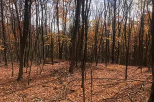 356 Ashton Woods, Moorefield, WV 26836 - Photo 61