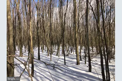 356 Ashton Woods, Moorefield, WV 26836 - Photo 41