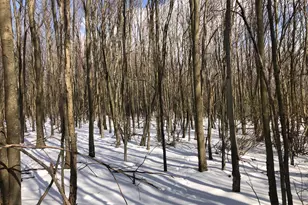 356 Ashton Woods, Moorefield, WV 26836 - Photo 41