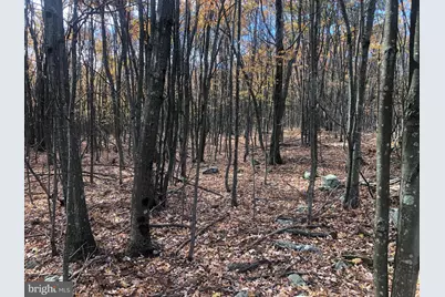 356 Ashton Woods, Moorefield, WV 26836 - Photo 59