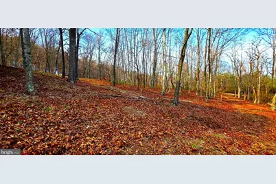 163 Olive Branch Road, Rio, WV 26755 - Photo 53
