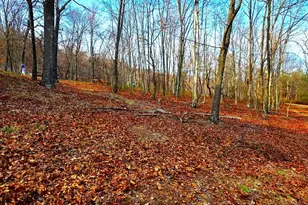 163 Olive Branch Rd, Rio, WV 26755 - Photo 53
