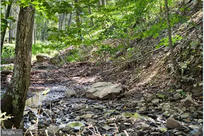 1789 Helmick Rock Road, Mathias, WV 26812 - Photo 21