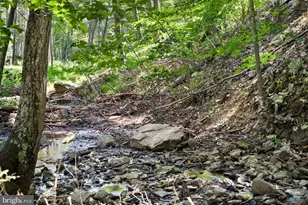 1789 Helmick Rock Rd, Mathias, WV 26812 - Photo 21