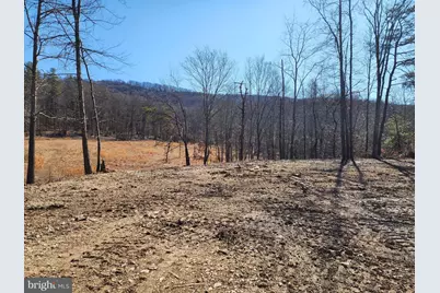 228 Oak Drive, Mathias, WV 26812 - Photo 13