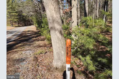 228 Oak Drive, Mathias, WV 26812 - Photo 5