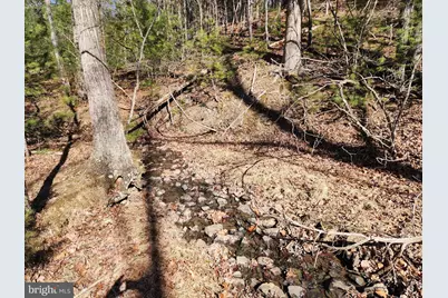 228 Oak Drive, Mathias, WV 26812 - Photo 19