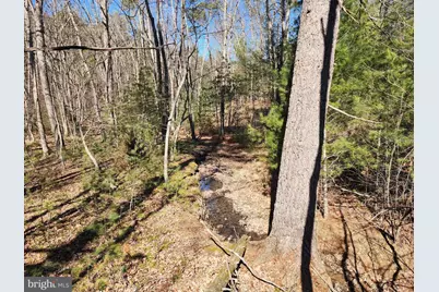 228 Oak Drive, Mathias, WV 26812 - Photo 25
