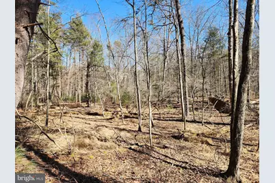 228 Oak Drive, Mathias, WV 26812 - Photo 27