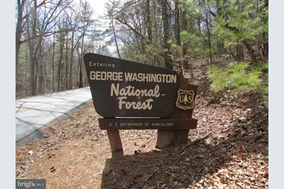 228 Oak Drive, Mathias, WV 26812 - Photo 7