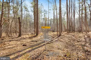 125 Mulberry Ln, Wardensville, WV 26851 - Photo 53