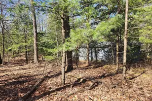 1080 Cove Mountain Rd, Mathias, WV 26812 - Photo 13