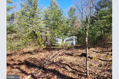 1080 Cove Mountain Road, Mathias, WV 26812 - Photo 17
