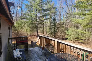 1080 Cove Mountain Rd, Mathias, WV 26812 - Photo 21