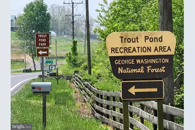 1080 Cove Mountain Road, Mathias, WV 26812 - Photo 15