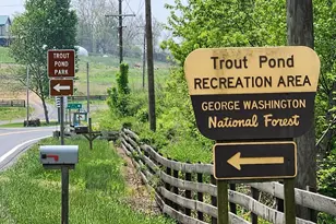 1080 Cove Mountain Rd, Mathias, WV 26812 - Photo 15