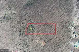 1080 Cove Mountain Rd, Mathias, WV 26812 - Photo 5