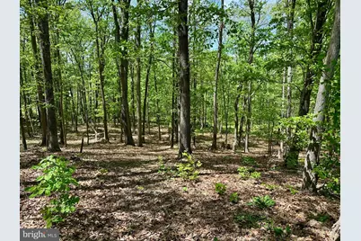 125 Ender Avenue, Moorefield, WV 26836 - Photo 21