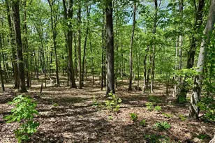 125 Ender Ave, Moorefield, WV 26836 - Photo 21