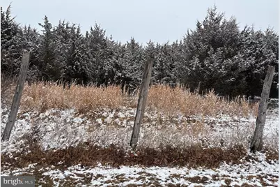 Lot 4 Wisteria Lane, Old Fields, WV 26845 - Photo 5