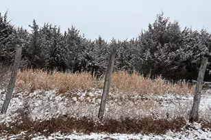 Lot 4 Wisteria Ln, Old Fields, WV 26845 - Photo 5