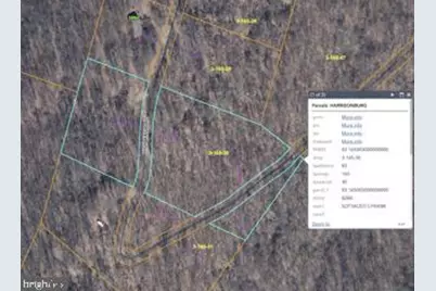 Lot 4 Section 7 High Knob Road, Old Fields, WV 26845 - Photo 3