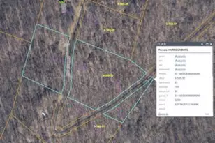 Lot 4 Section 7 High Knob Rd, Old Fields, WV 26845 - Photo 3