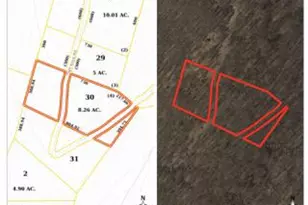 Lot 4 Section 7 High Knob Rd, Old Fields, WV 26845 - Photo 1