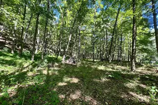 Lot 4 Section 7 High Knob Rd, Old Fields, WV 26845 - Photo 1