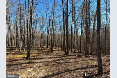 98.43 Ac Parker Hollow Road, Lost River, WV 26810 - Photo 33