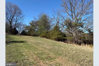 98.43 Ac Parker Hollow Road, Lost River, WV 26810 - Photo 9