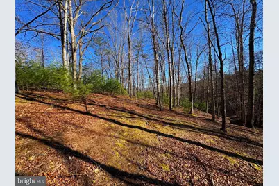98.43 Ac Parker Hollow Road, Lost River, WV 26810 - Photo 27