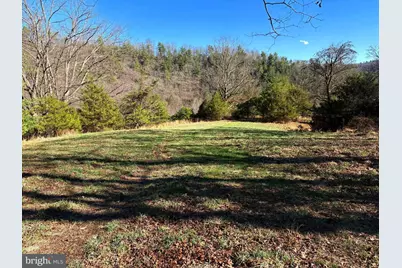 98.43 Ac Parker Hollow Road, Lost River, WV 26810 - Photo 5