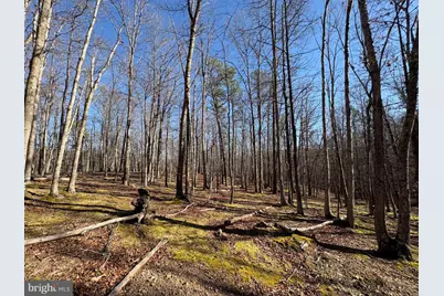 98.43 Ac Parker Hollow Road, Lost River, WV 26810 - Photo 35