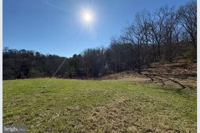 98.43 Ac Parker Hollow Road, Lost River, WV 26810 - Photo 23