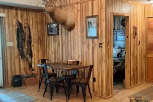 217 Meadow View Dr, Lost City, WV 26810 - Photo 5