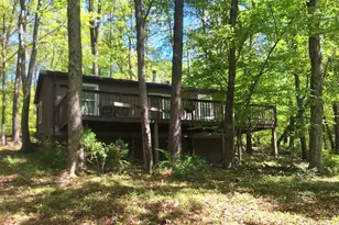 217 Meadow View Dr, Lost City, WV 26810 - Photo 3