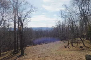 6751 High Knob Rd, Old Fields, WV 26845 - Photo 23