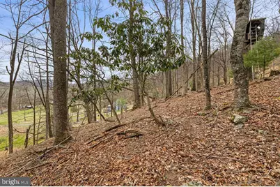 1851 Cullers Run Road, Mathias, WV 26812 - Photo 63