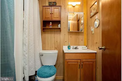 49 Mountain Top Road, Mathias, WV 26812 - Photo 45